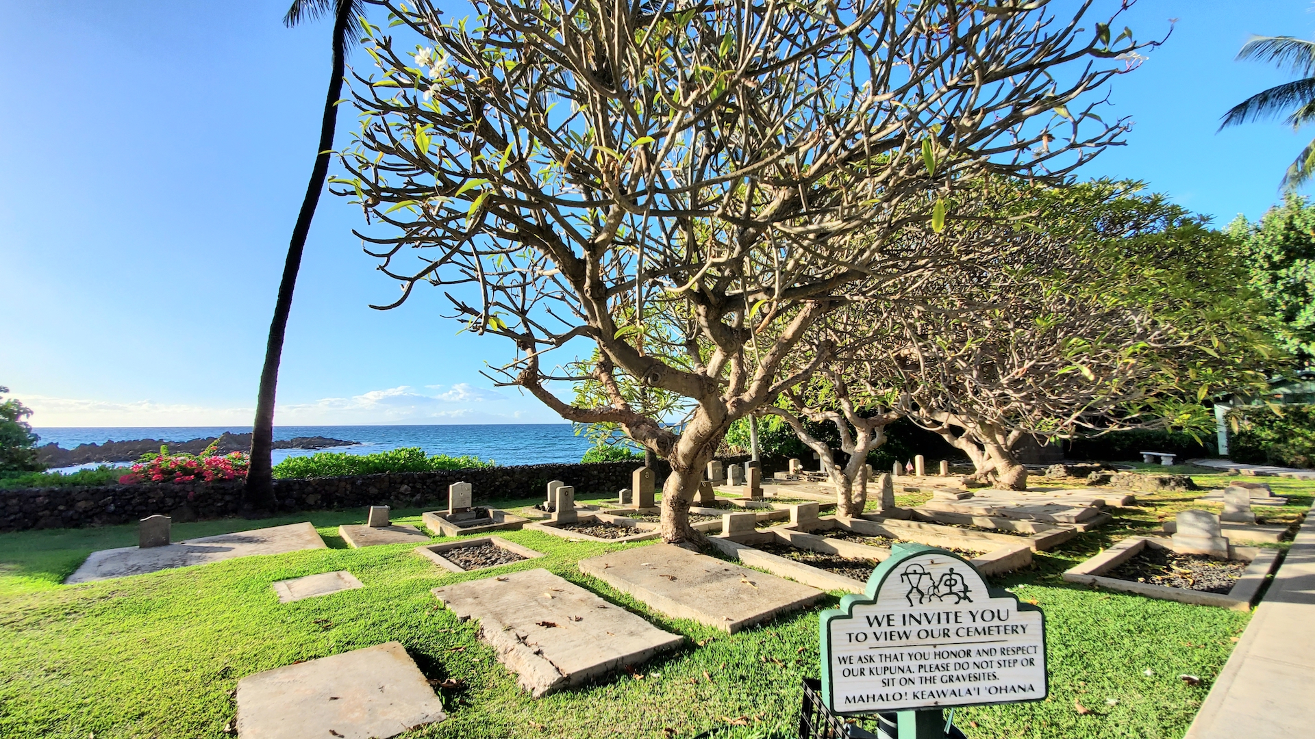 View from the Keawala'i Congregational Church looking out towards the Pacific Ocean.