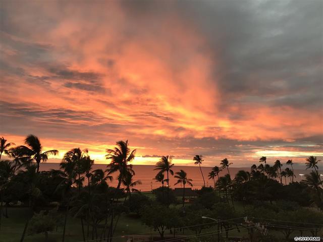 Pink and purple sunset with palm trees | Maui oceanfront condos for sale