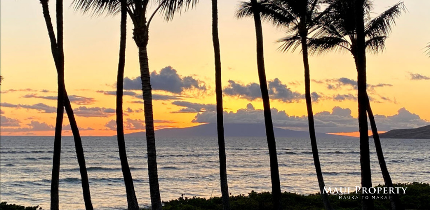 Hana View Image