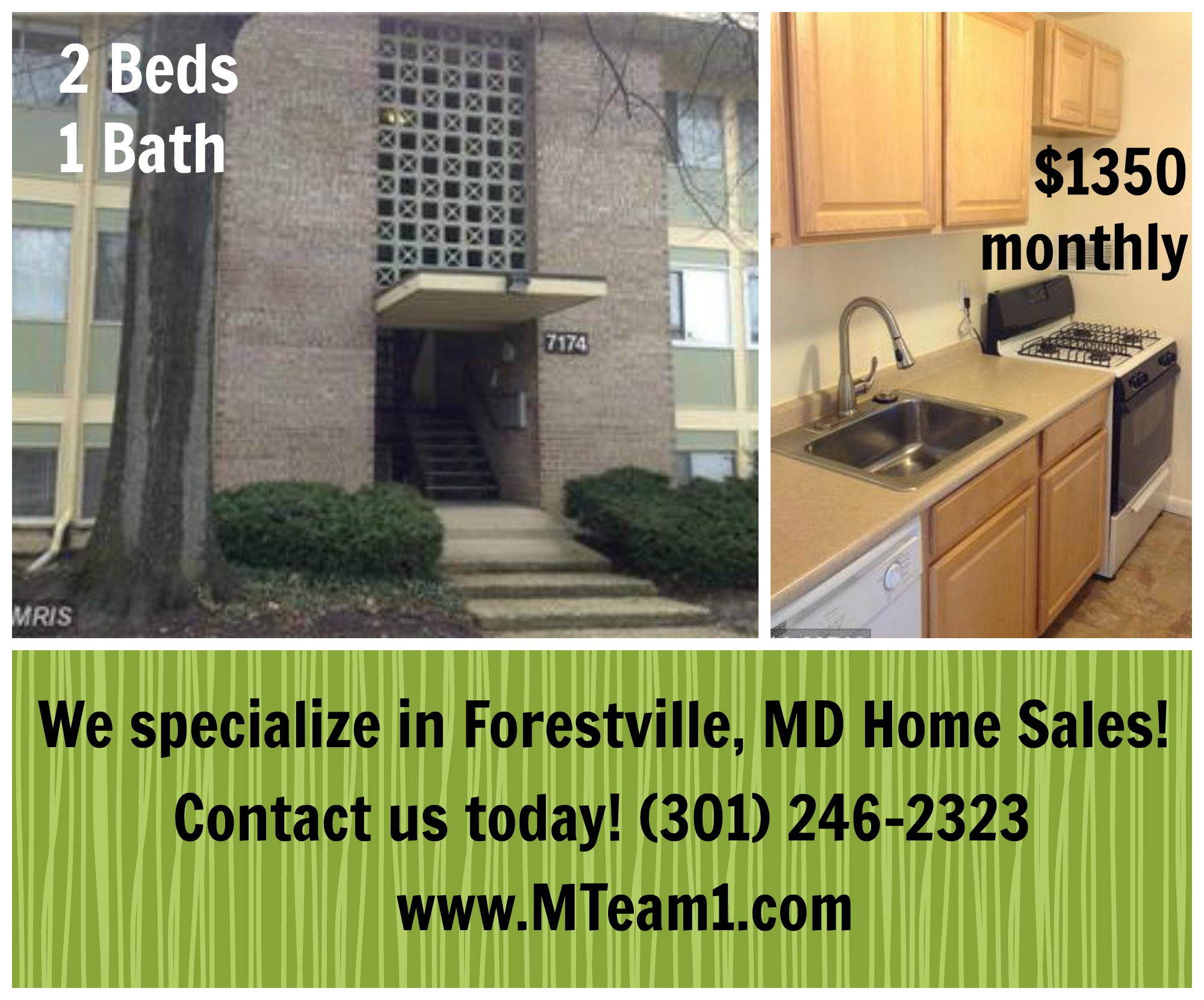 Forestville MD Holly Hills 2 beds 1 Bath Condo for Rent
