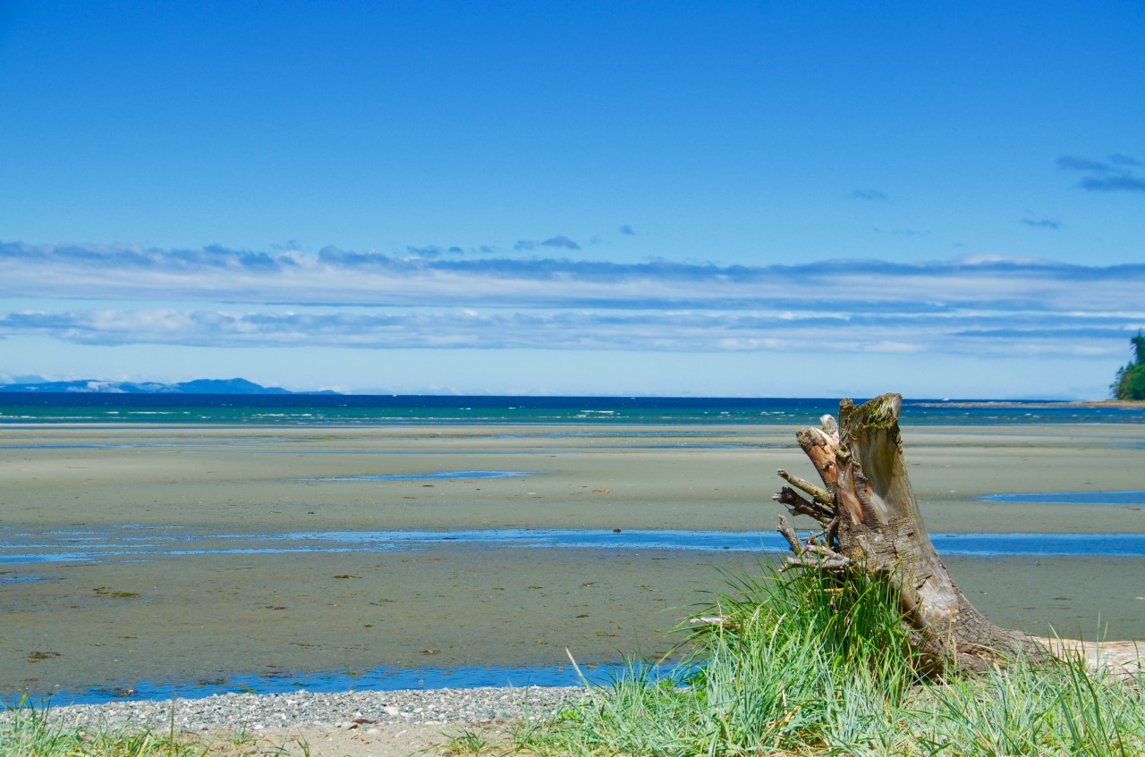 Parksville, B.C. Real Estate Search all Parksville homes and condos