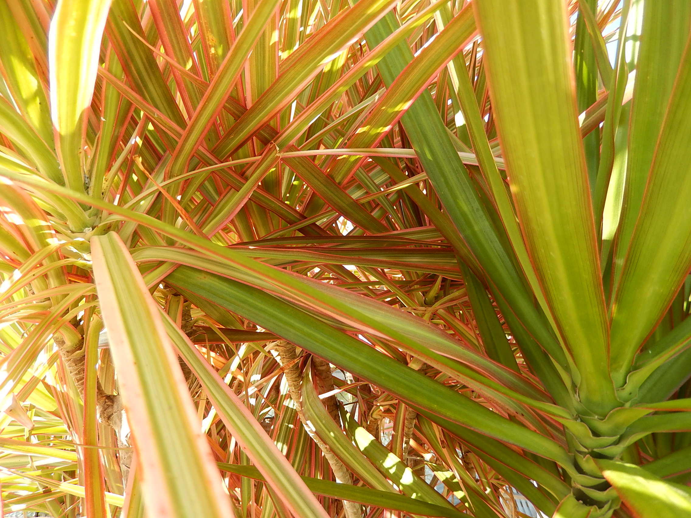 Port Saint John MLS Listings Port Saint John Real Estate Homes for