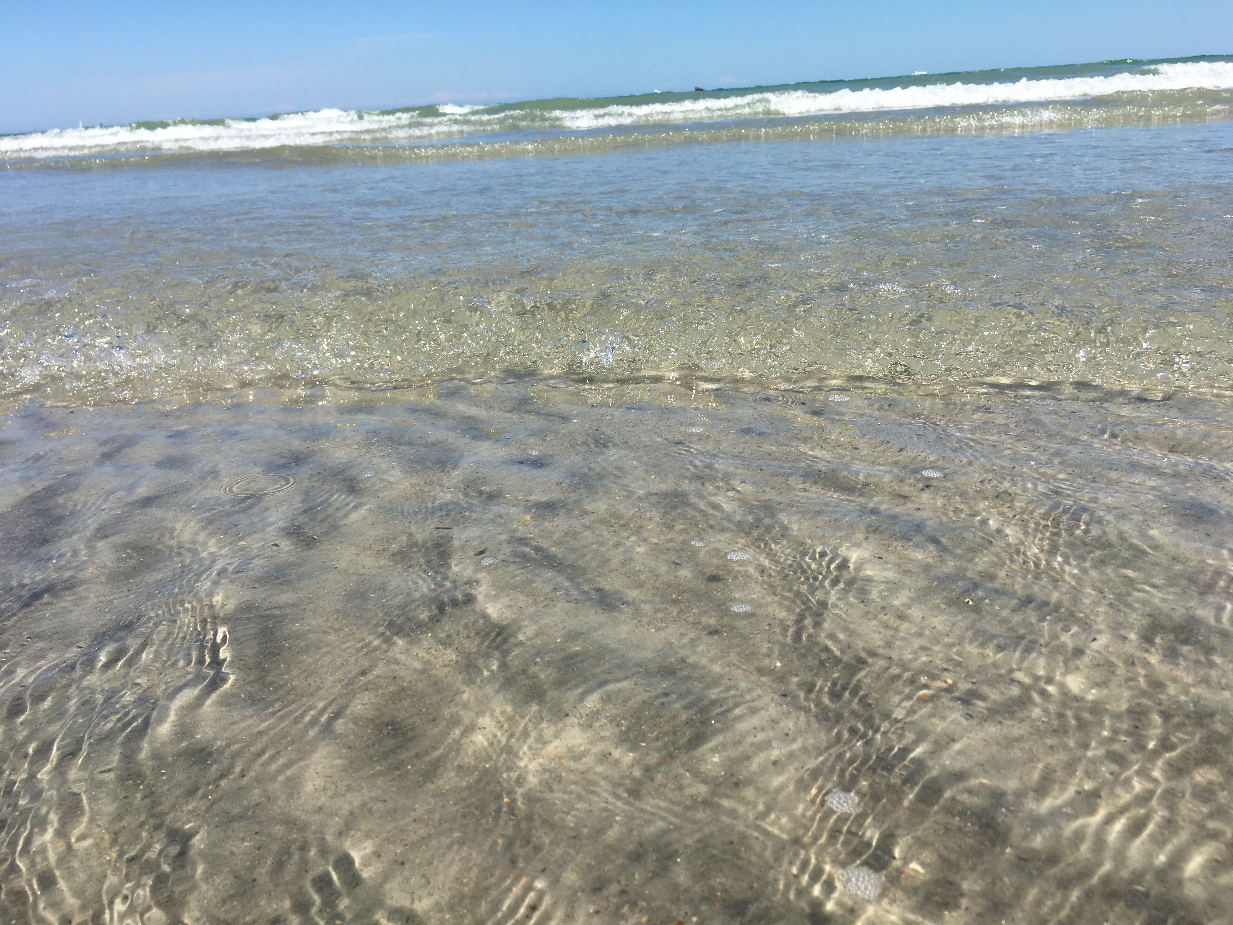 The Diplomat Condos for Sale The Diplomat MLS Listings The Diplomat Condo Properties