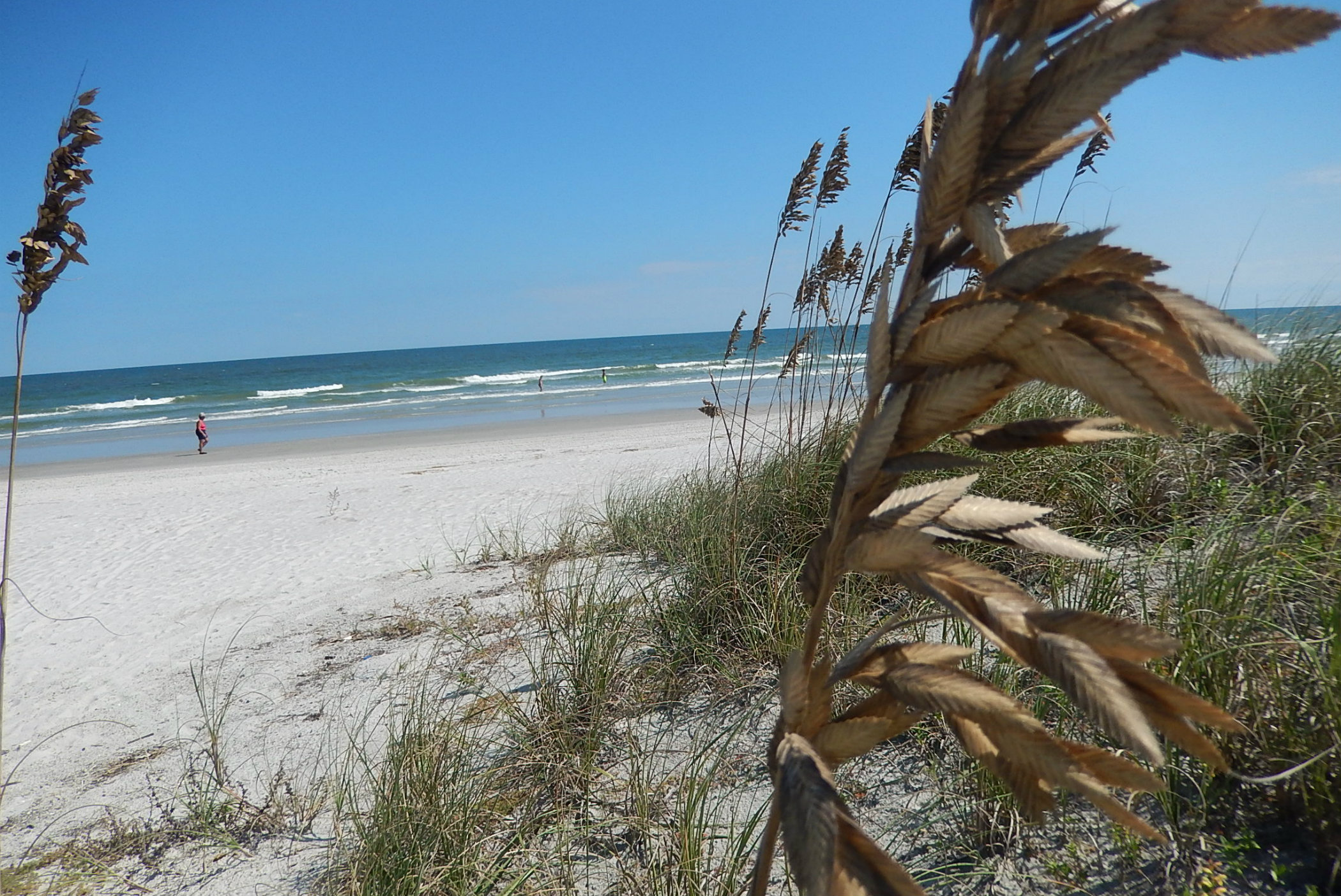 Satellite Beach Homes for Sale Satellite MLS Listings