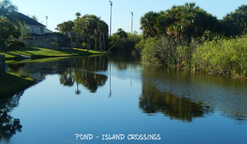 Island Crossing pond