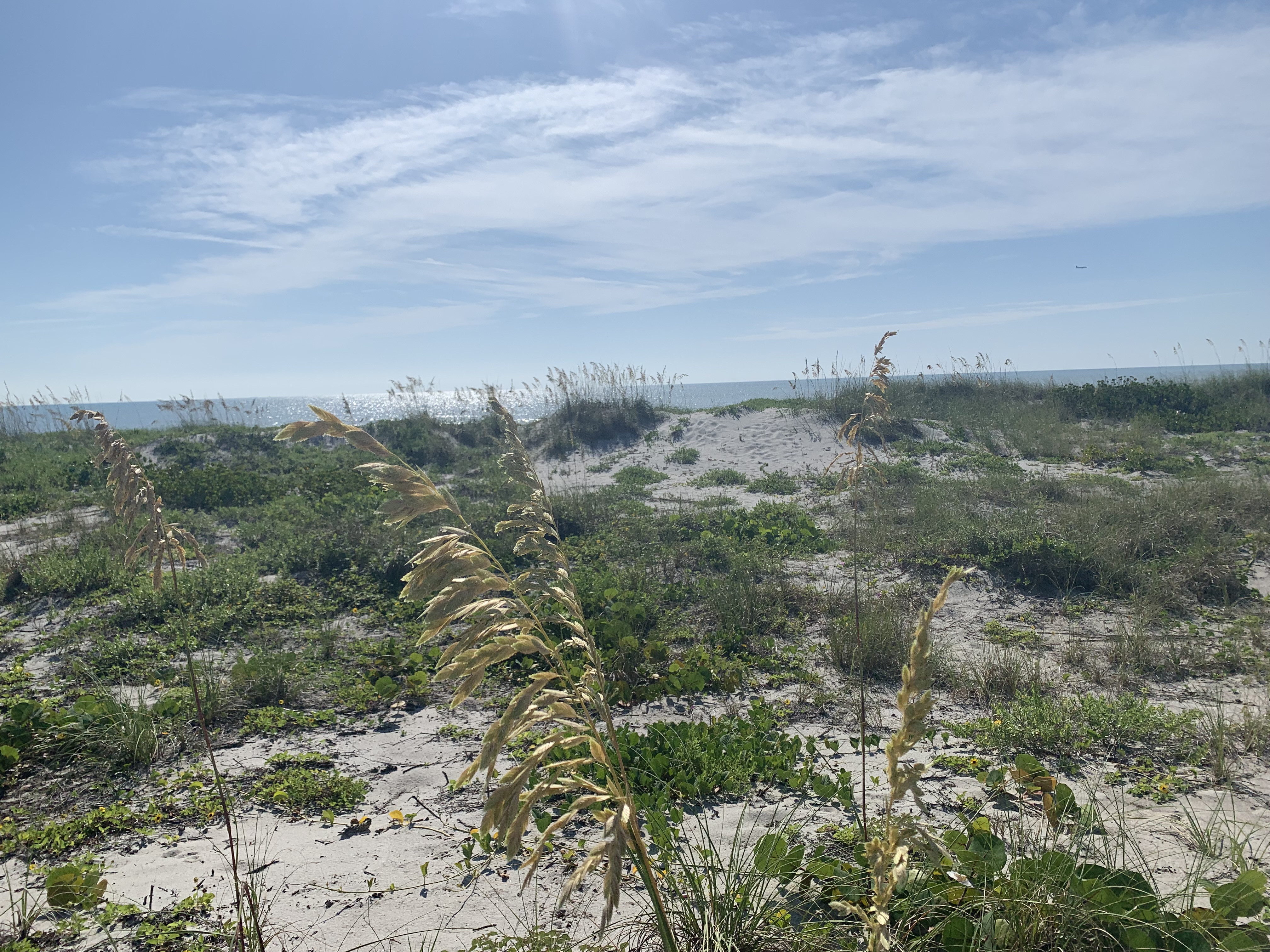 Desota Walking Distance