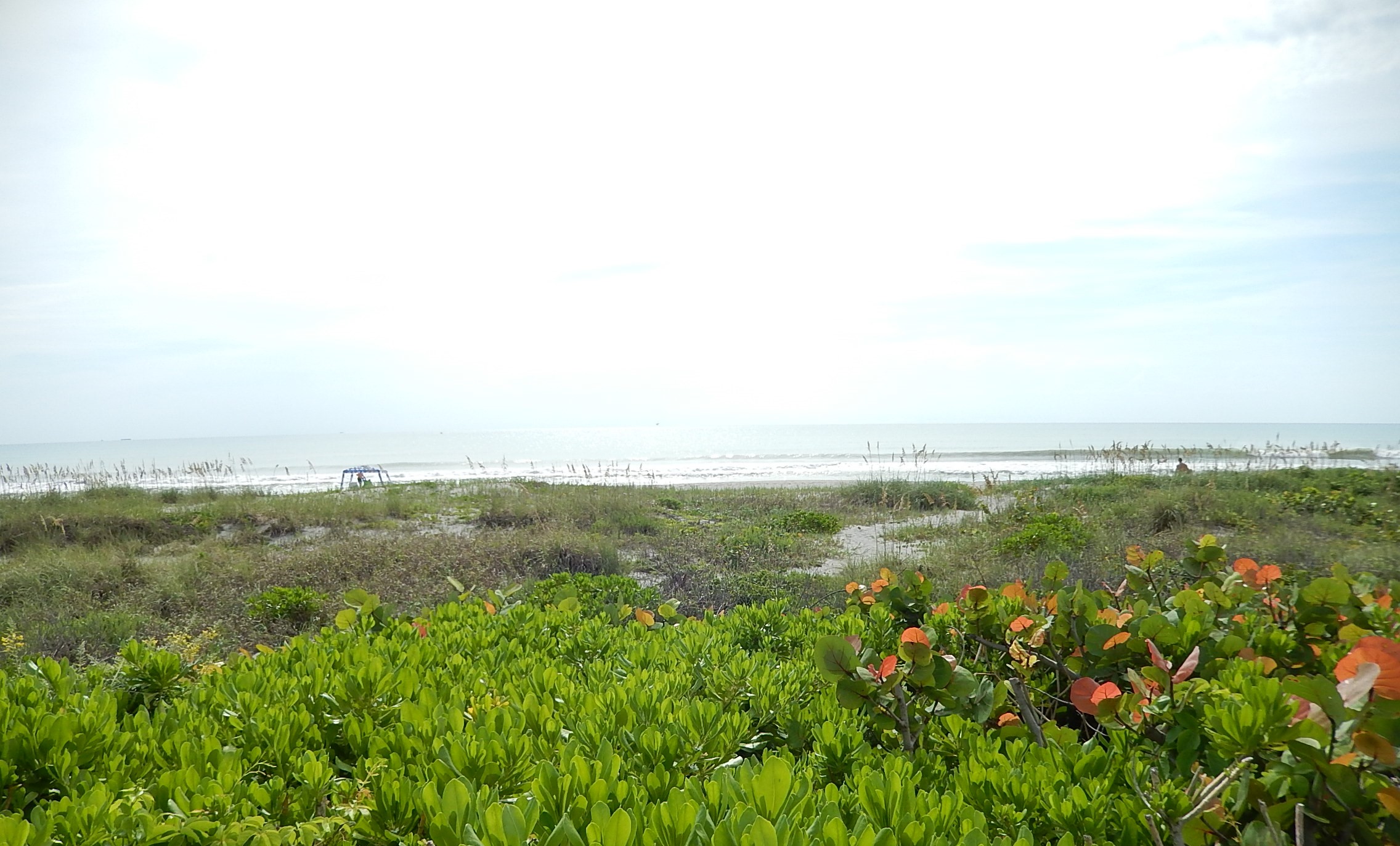 Country Club Hills Real Estate Country Club Hills MLS Listings