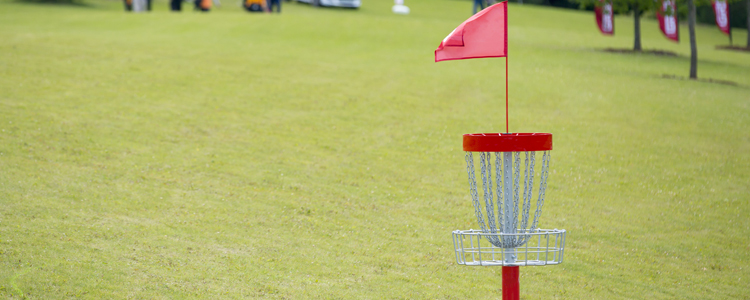 Disc Golf