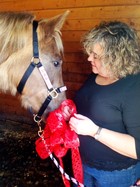 Horse properties in Warren County Ohio