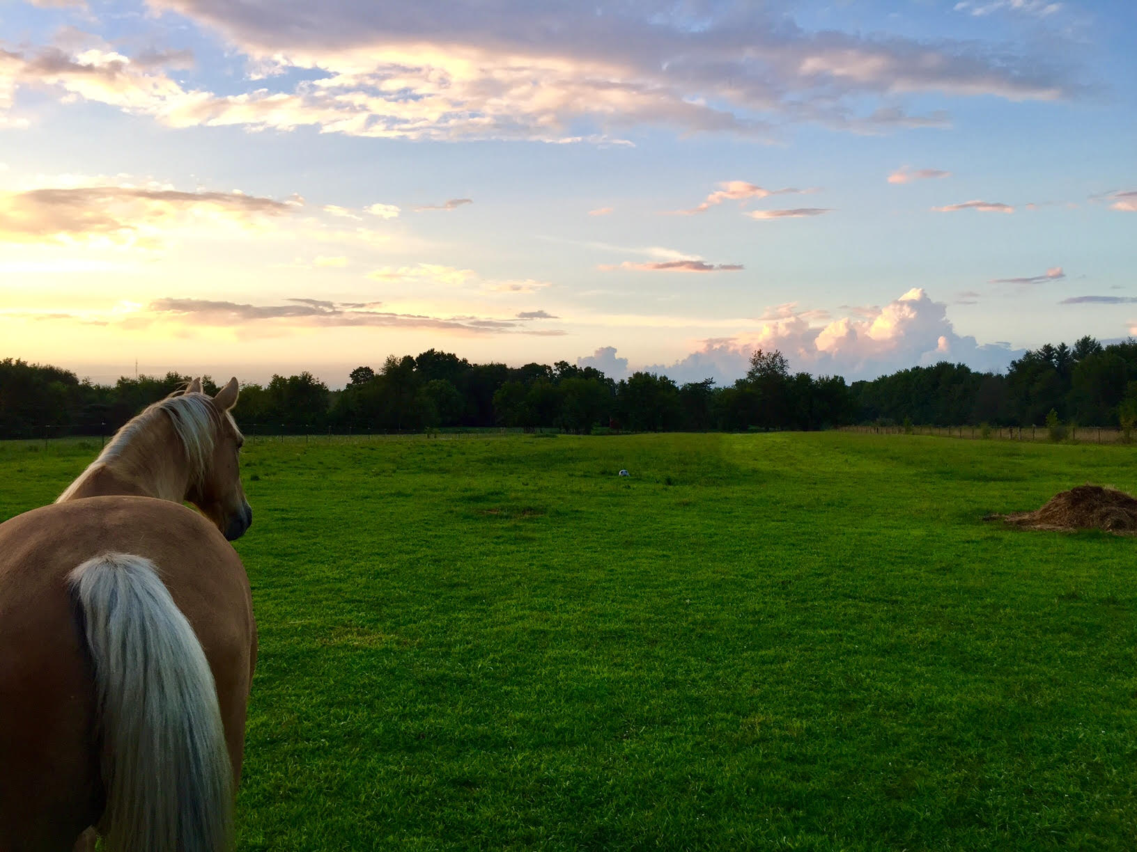 Dayton Horse Properties For Sale