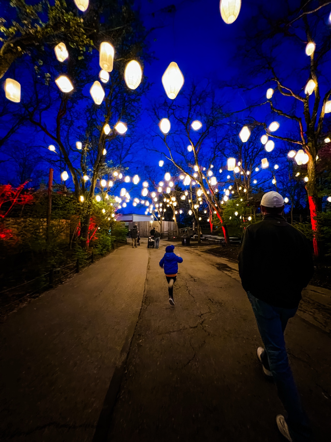 Lantern festival at Columbus Zoo