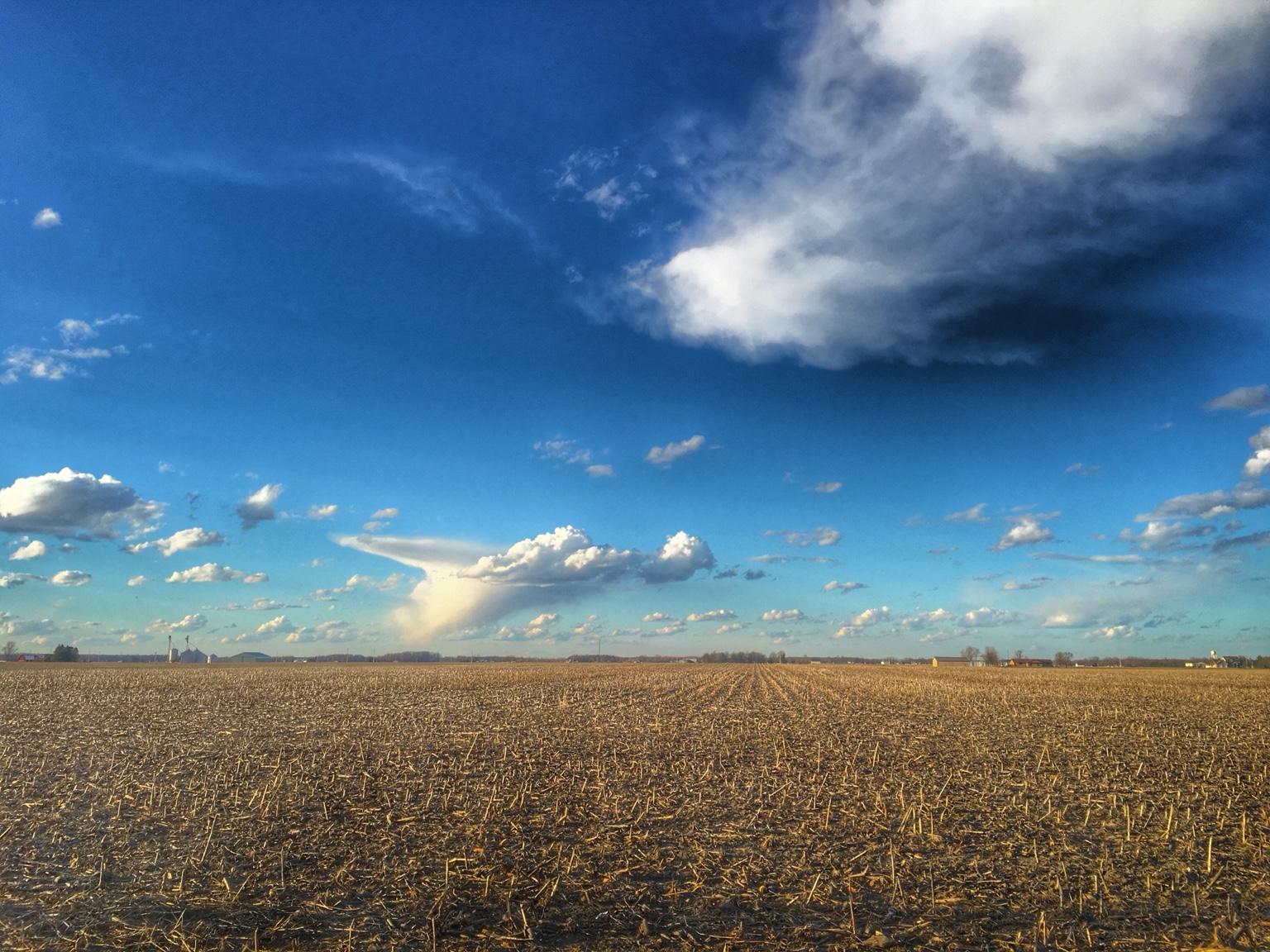Open Mercer County Ohio farmland beneath an expansive blue sky