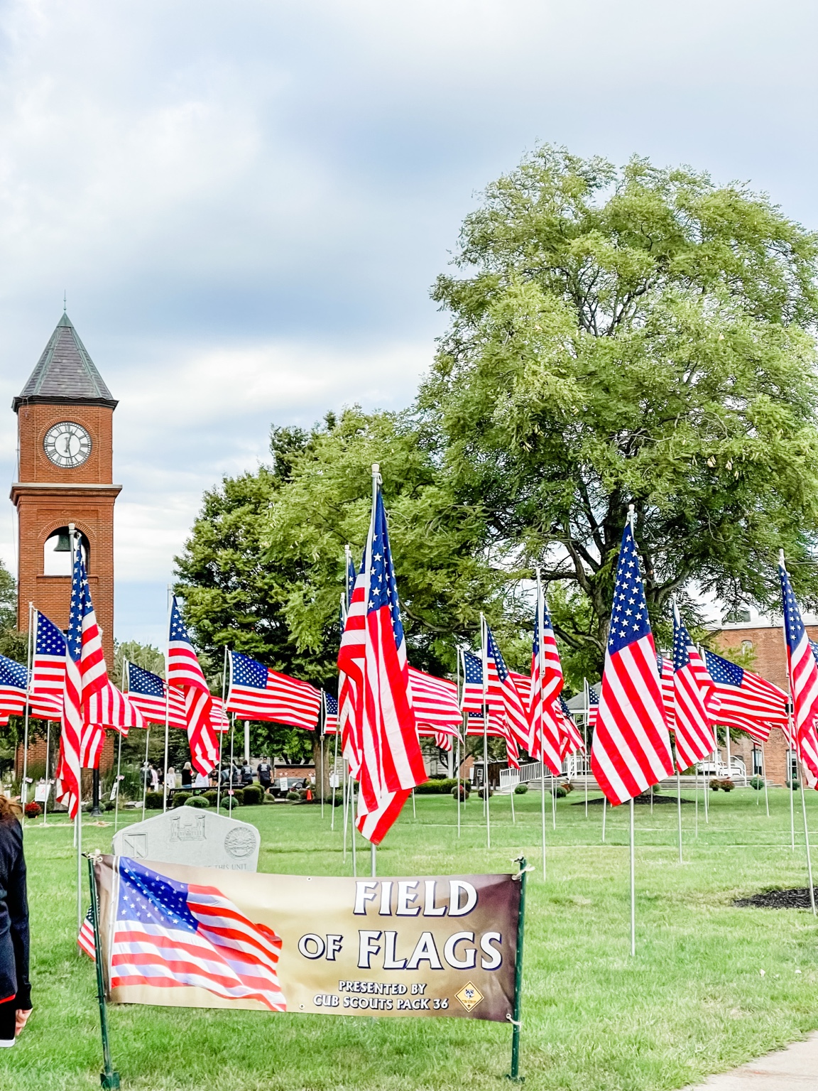 Field of Flags display in St. Marys Ohio