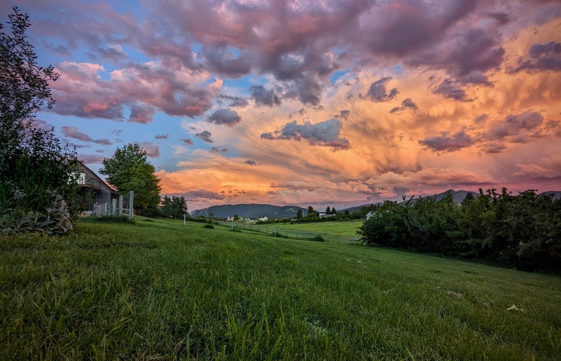 Montana sunset