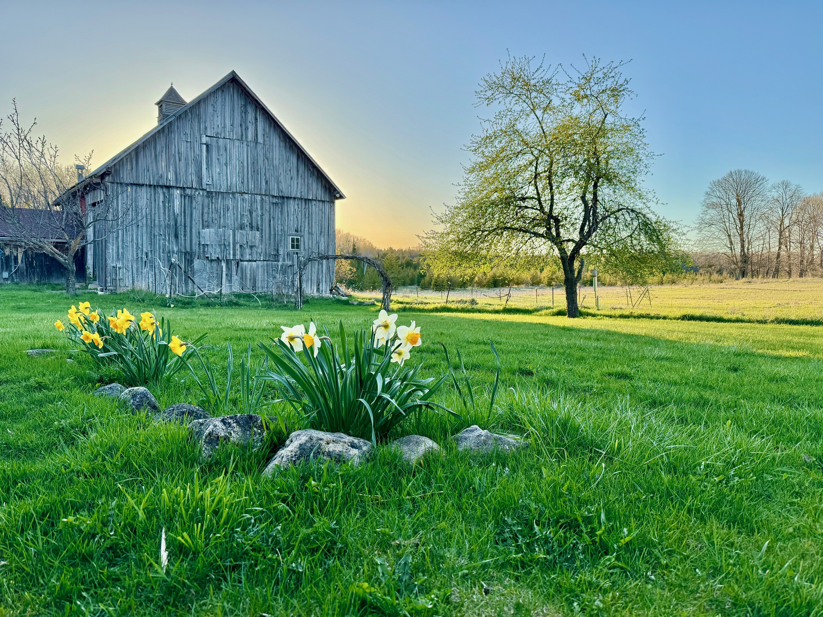 Ellison Bay Farm for Sale in Door County