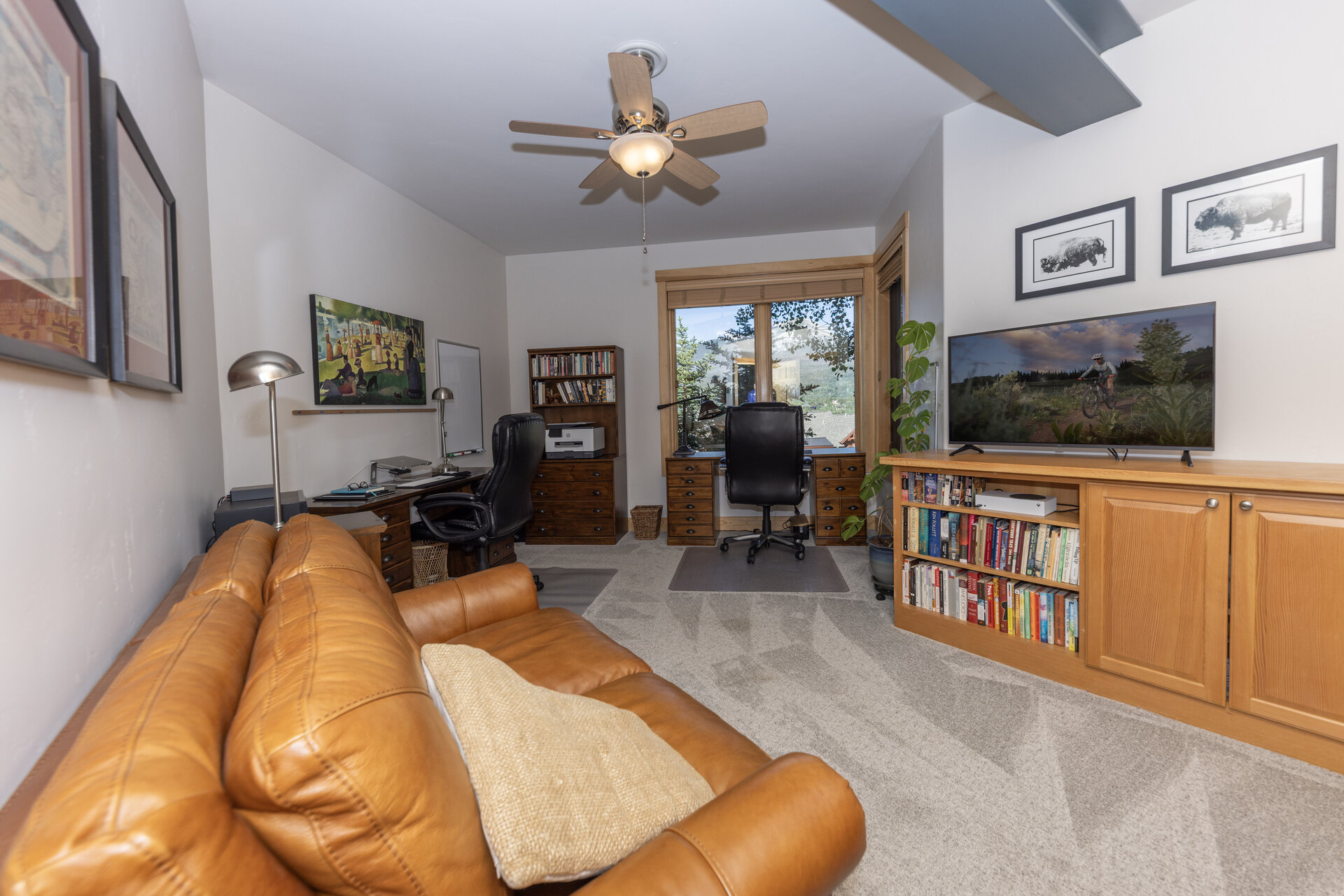 Lower level bonus and office space with a view deck