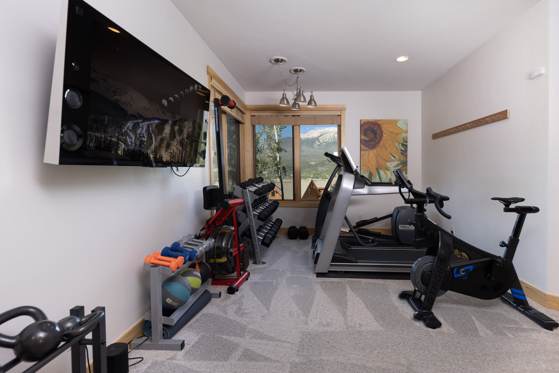 Exercise room with mounted TV