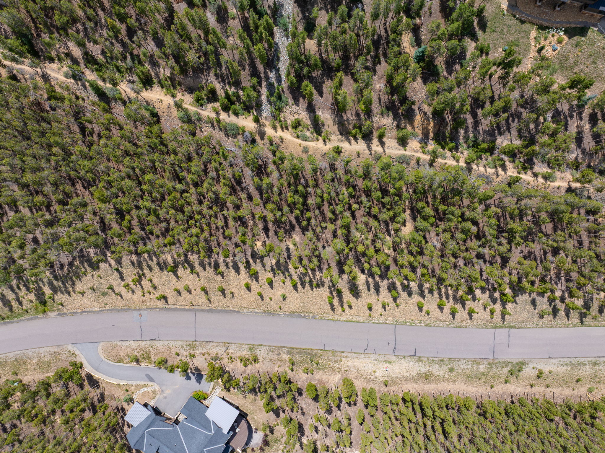 Overhead view of the slope with the public trail crossing the lower portion of the property