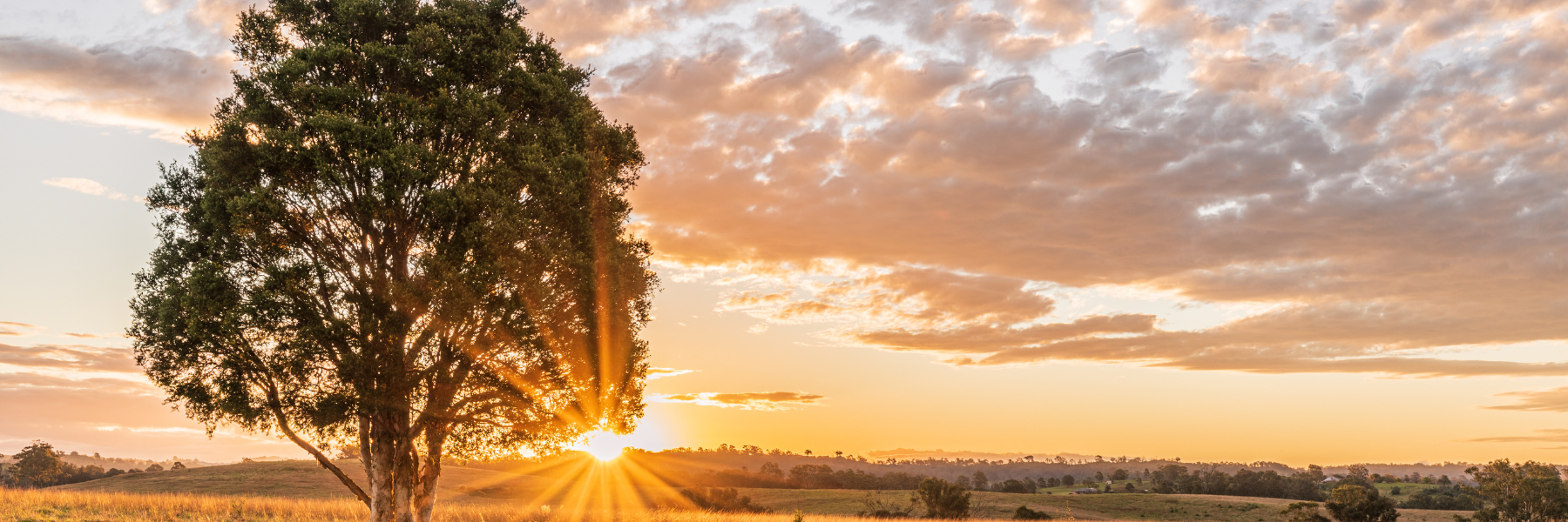 Kessler Farms Homes For Sale In Weatherford and Brock Texas Brock ISD