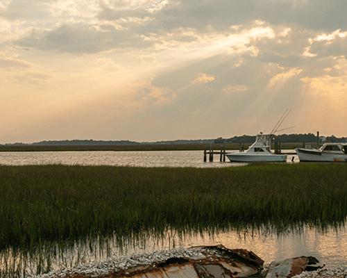 Johns Island Homes for Sale