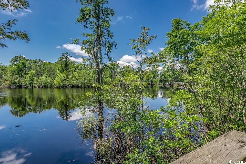 ICW - waterway view