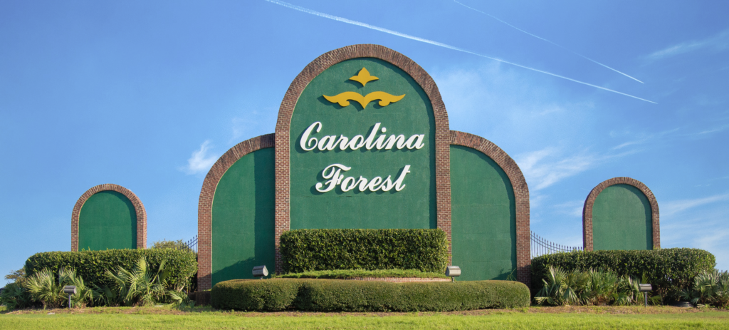 carolina forest 