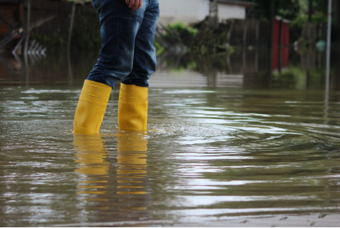 Flood zones in SC 