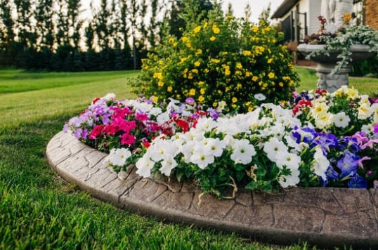 curb appeal