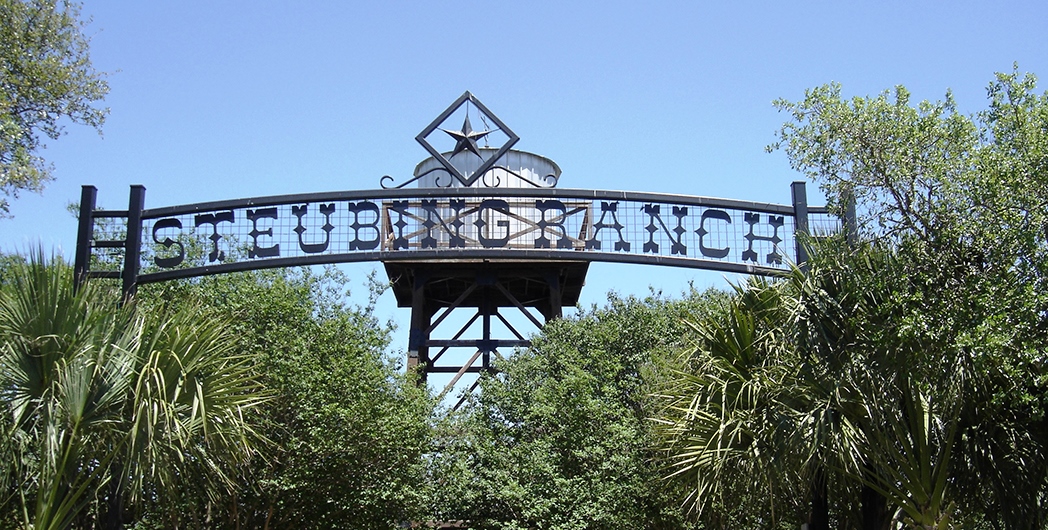 Steubing Ranch Homes for Sale San Antonio Real Estate