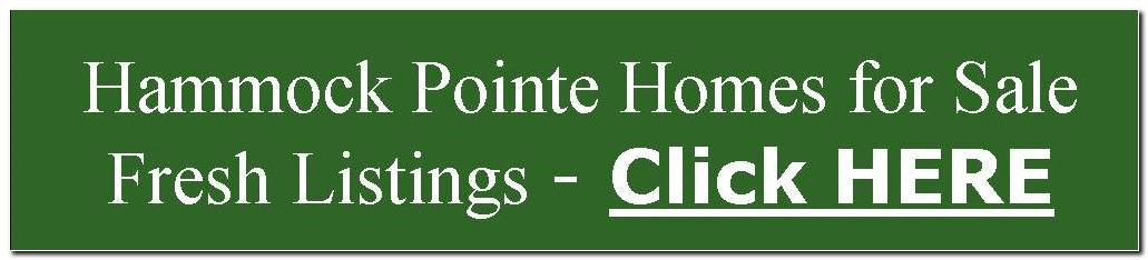 Hammock Pointe at Grand Haven Melbourne - Properties for Sale