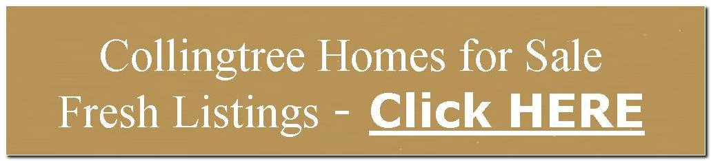 Collingtree at Viera East golf course community - Properties for Sale