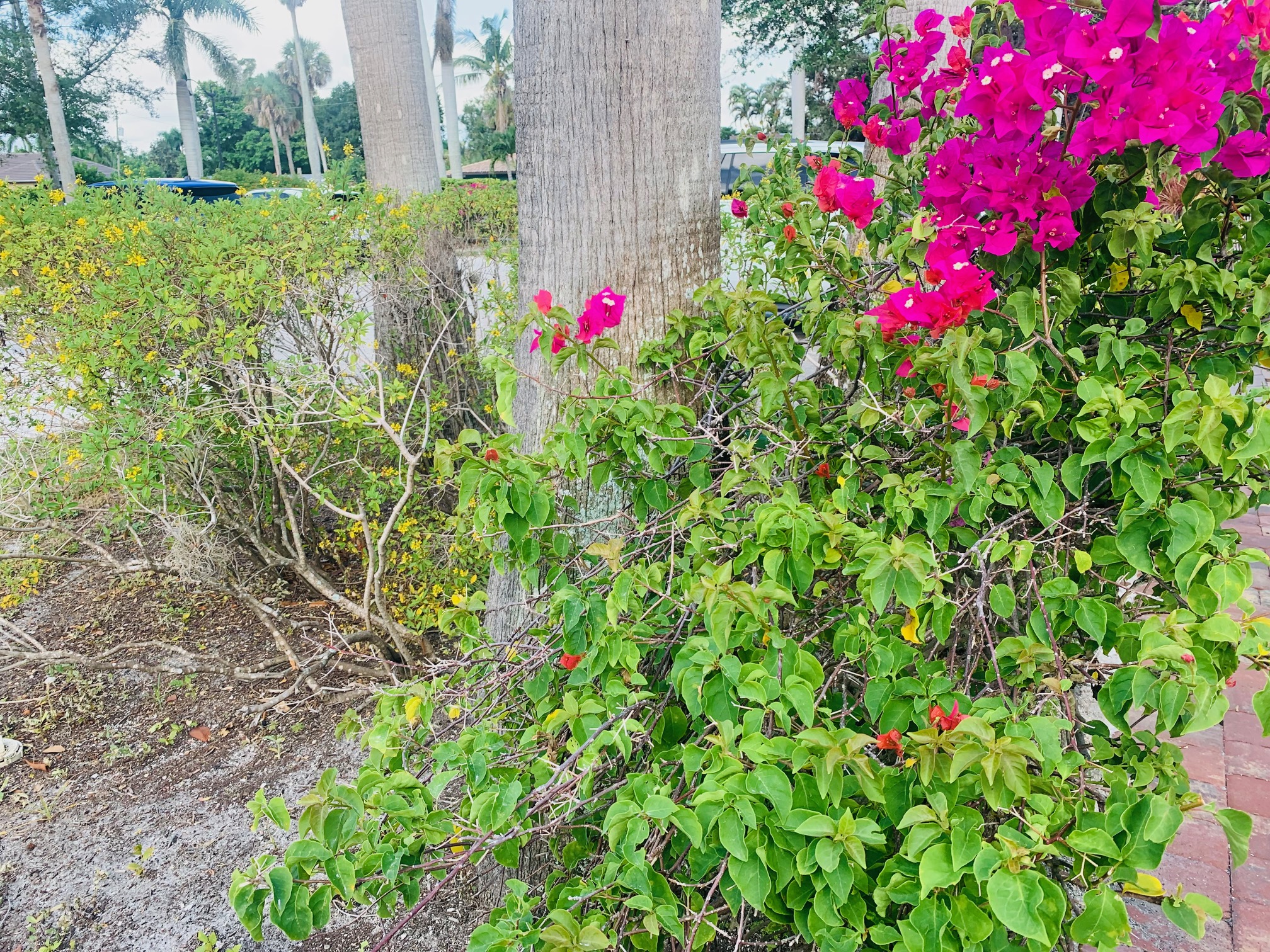 McGregor Cafe Photos