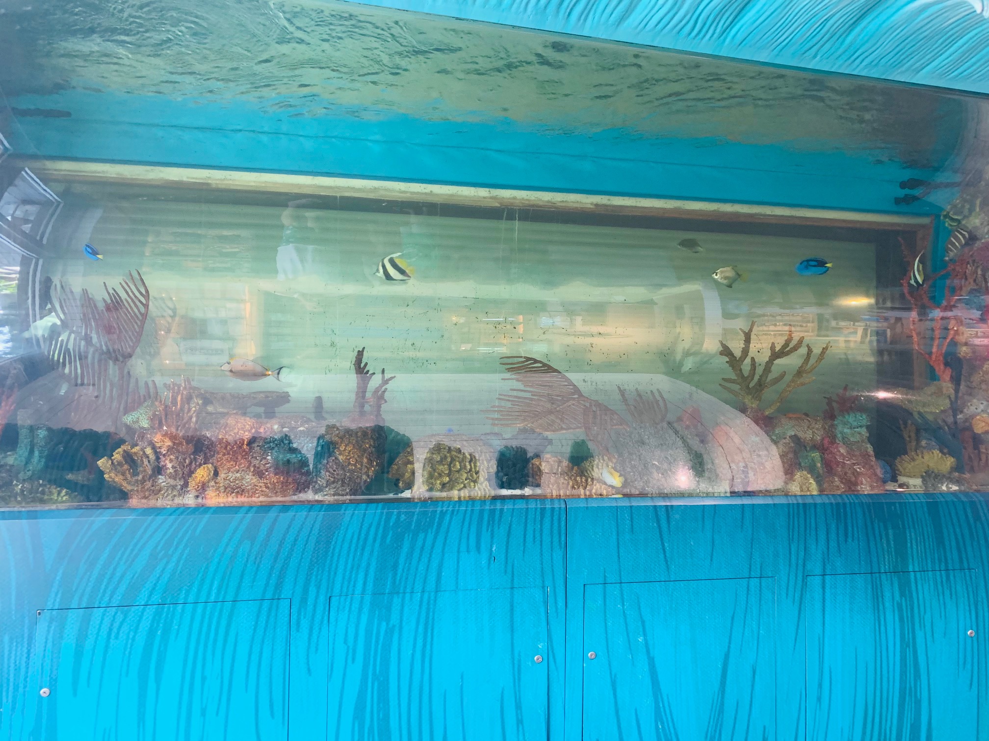 Salt Life Food Shack - 4p4gk4z