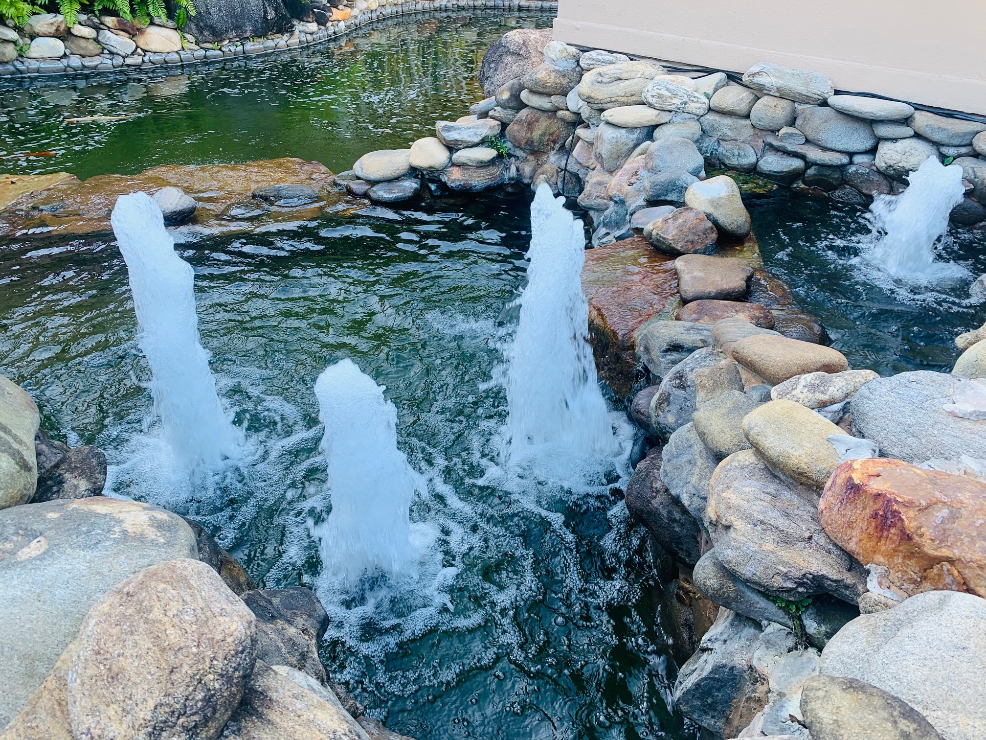 Tokyo Bay Bonita Springs