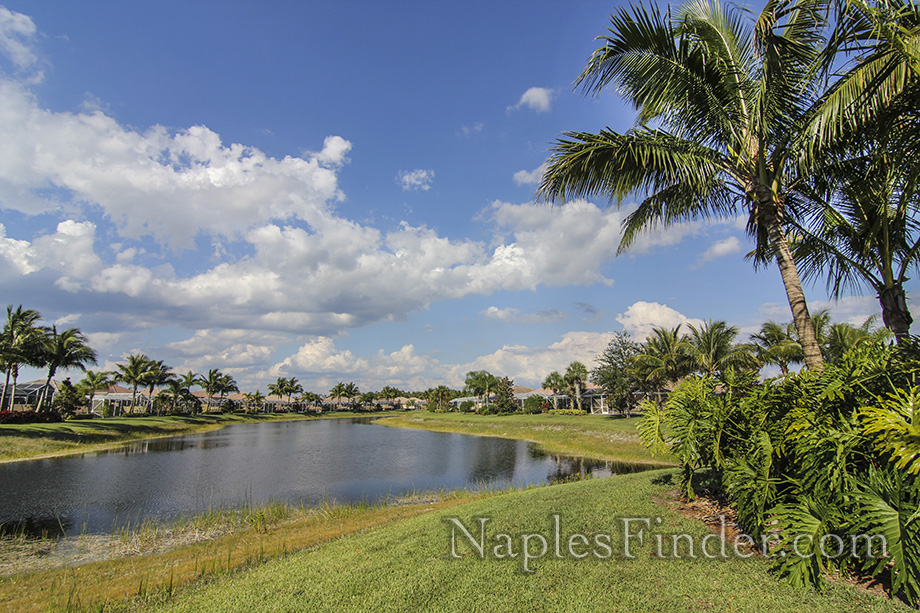 Verona Walk Real Estate