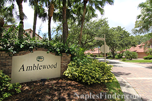 Amblewood at Wyndemere Real Estate