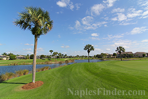 Bundle Golf Communities in Naples Florida