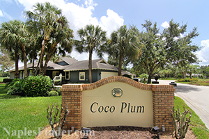 Coco Plum in Wyndemere