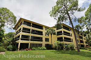 Cypress Commons in Wyndemere Real Estate