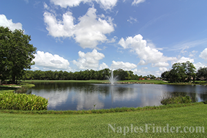 Golf Cottages Subdivision in Wyndemere