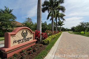 Hawthorne at Lely Resort