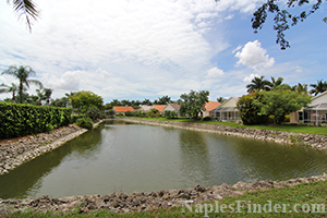 Indian Wells Homes in Lely