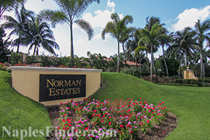 Norman Estates at Tiburon Real Estate