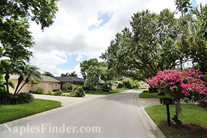 Preserve at Wyndemere Real Estate
