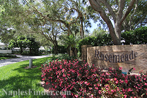Rosemeade Subdivision in Wyndemere