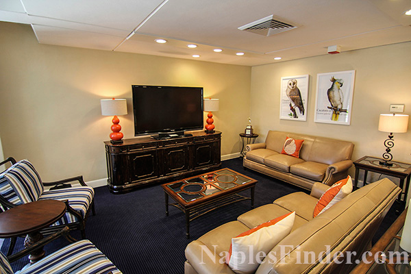 Surfsedge7