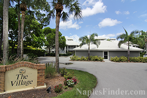 Villages at Wyndemere Real Estate