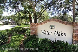 Water Oaks at Wyndemere Real Estate