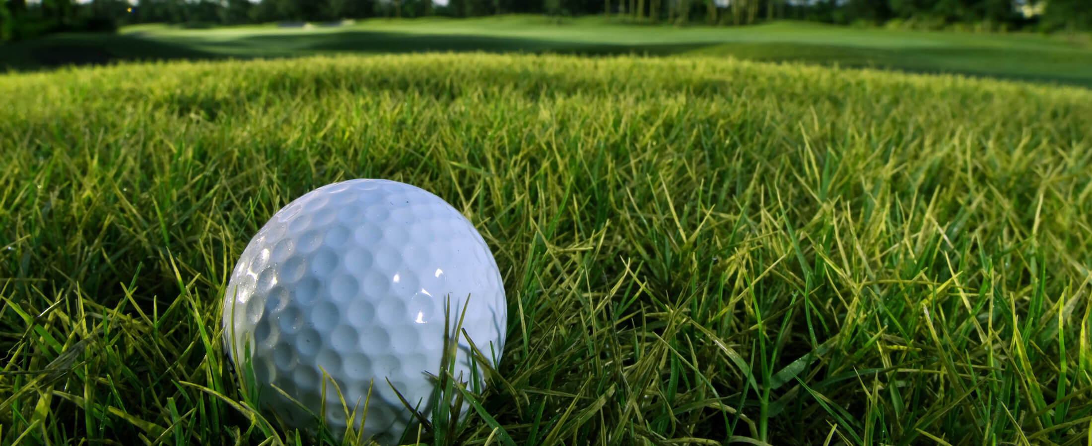 Fort Myers Golf Community Real Estate Fort Myers Golf Community Homes