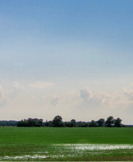 LAND